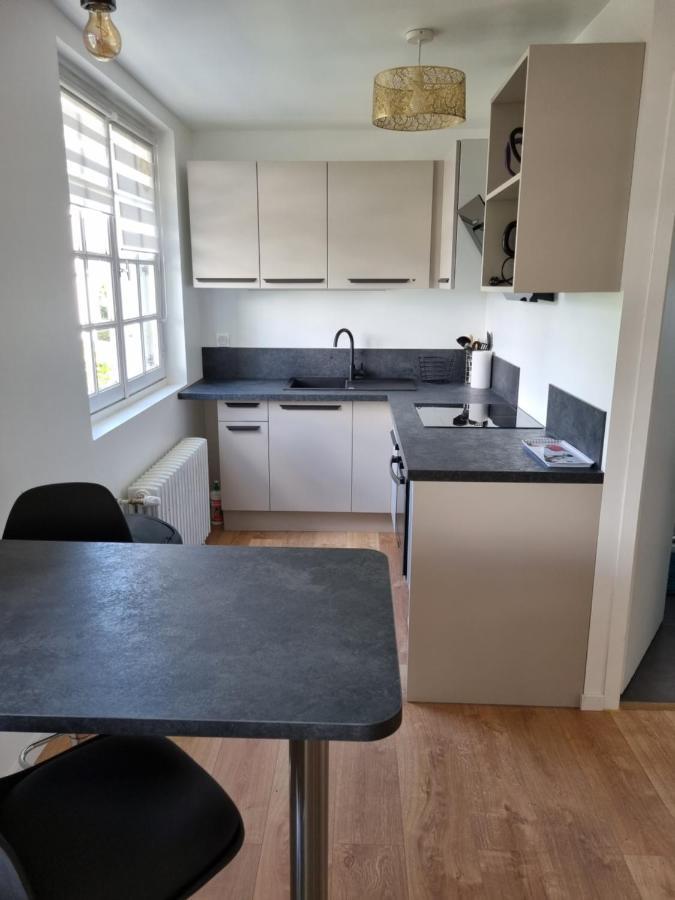 Location Saisonniere Appartement Situe A Сомюр Екстер'єр фото